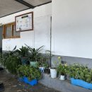 동심식당 이미지