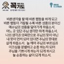 콩깍지 이미지