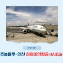 하와이안항공 호놀룰루-인천 HA459 좌석 엑스트라컴포트 기내식 스타링크 수하물 후기