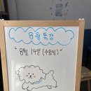 유성초등학교(병설) 이미지