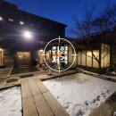 비발디 향기나무 이미지