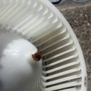 유일크리닝 이미지