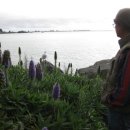 아카로아 이미지