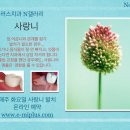 미플러스치과 이미지