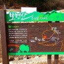 보현산 등산로 이미지