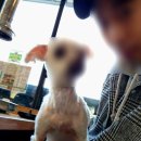 숯불과 닭갈비 이미지