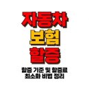 자동차보험 할증 최대 200%까지 오른다? 교통사고 이후 보험료 폭등의 진실! 이미지