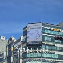 신이비인후과의원 네이버블로그
