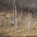 두성농장 이미지