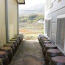 왕언니민박 이미지