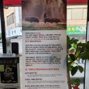 육심쟁이 이미지