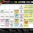 스튜디오 도원 네이버블로그