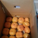 오곡 압록 이미지