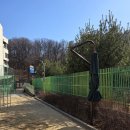 향동숲내초등학교 이미지