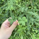 향동두리이비인후과의원 이미지