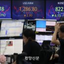 (주)적도 이미지