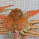 부영호 이미지