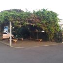 대정읍사무소 2 이미지