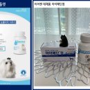 송탄 서정리 동물약국 이미지