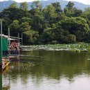 대동 낚시터 이미지