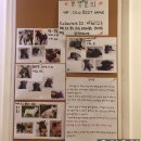 퍼피샬롱 이미지