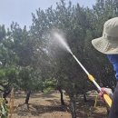 산동농장 이미지