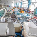대진항수산시장