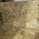 미산한우목장 이미지