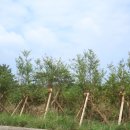 보리펜션 이미지