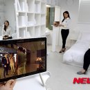 딜라이트플러스 이미지
