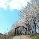 인천대공원(식물원 뒤) 이미지