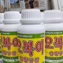 오복상사 이미지