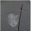 바지랑대 이미지