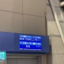 224 | 뉴욕여행❶ 비행/물가 후기(OZ224, 한인공항택시, 경비, 날씨, 지하철)