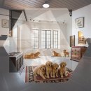 수색동물병원 | 수색 강아지분양 합리적인 선택을 위한 현실 가이드