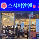 이호스시앤다찌 | 지식정보단지역 초밥맛집 스시이안앤 송도3동 회전초밥 내돈내산 후기