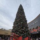 더 시타델 이미지