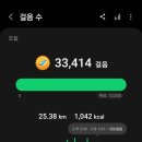 북한강물새길(봄내길 7코스) | 강촌으로 시작해 남이섬으로 마무리하는 북한강 트레킹