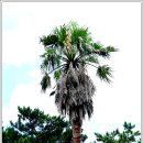 제주금강산콘도미니엄 이미지