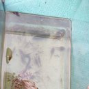 초막골생태공원(초록화장실) 이미지