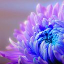 해도평생학습센터 이미지