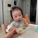 6개월 아기 산골이유식 초기체험팩 후기