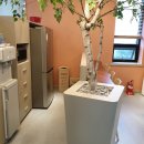 (주)삼일에코스텍 이미지