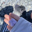 (주)이안팜 | 뉴질랜드 워홀 +2개월 24일 - 귀국 앞둔 후배와 블레넘 나들이! 바다 구경, 하이킹 다녀오기🏔️