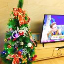 일상:) 쑤니네 일상 + 소소하다