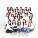 와이푸드 이미지