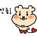 쩡이네닭강정