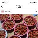 만나디저트