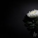 변호사노성진법률사무소 이미지