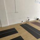 애니얼라인 이미지